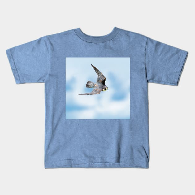 Peregrine falco peregrinus Kids T-Shirt by dalyndigaital2@gmail.com